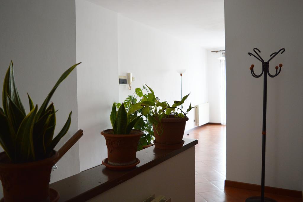Il Corso Bed & Breakfast Novara Exterior photo